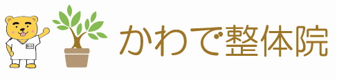 かわで整体院
